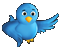 Siga o nosso twitter!