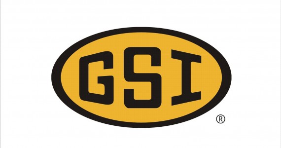 GSI Group